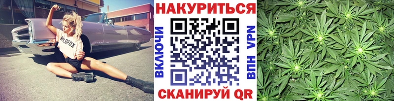 Бошки Шишки план  Купить закладки  Кизел 